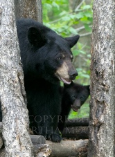 Mommy and Me